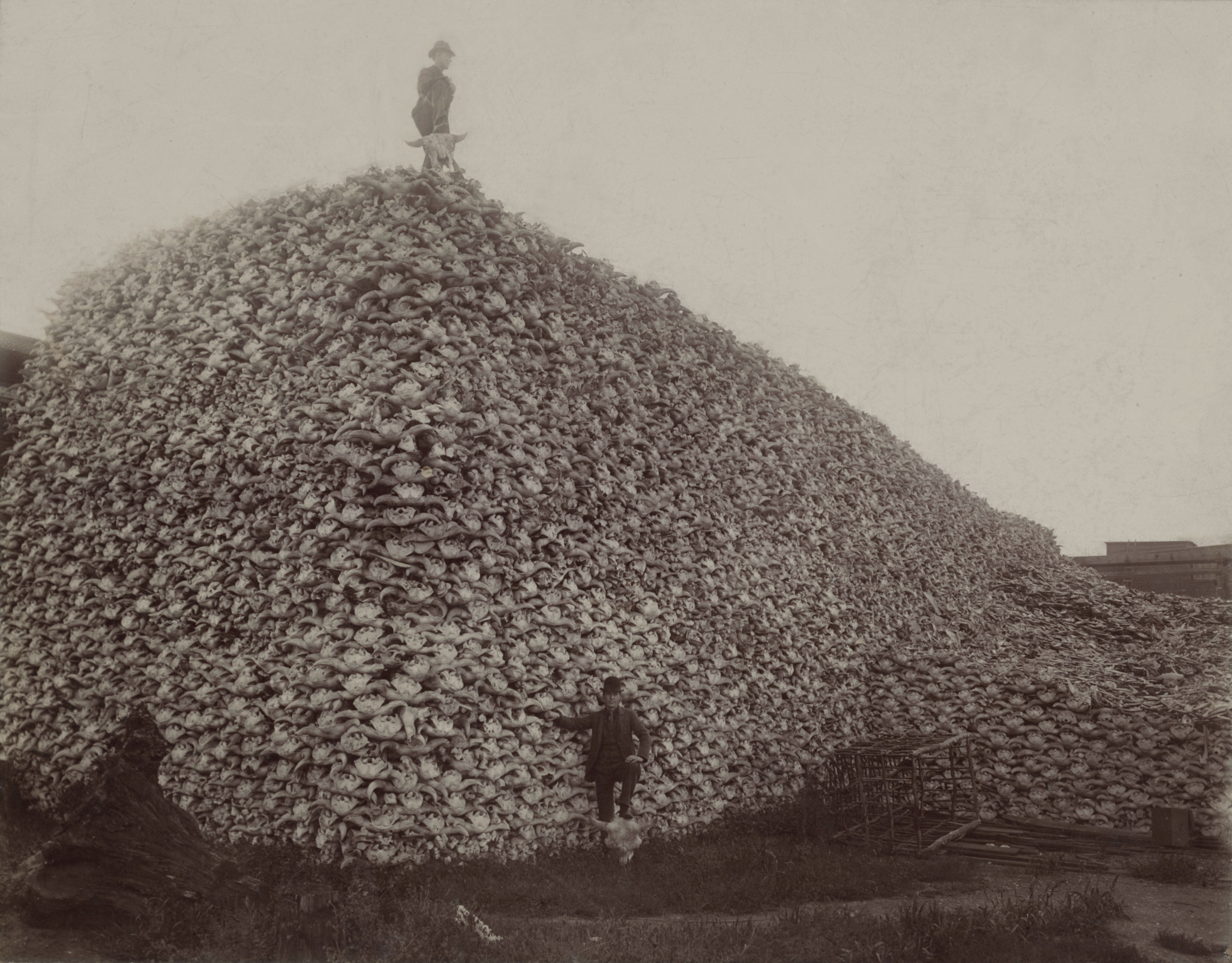 North Dakota